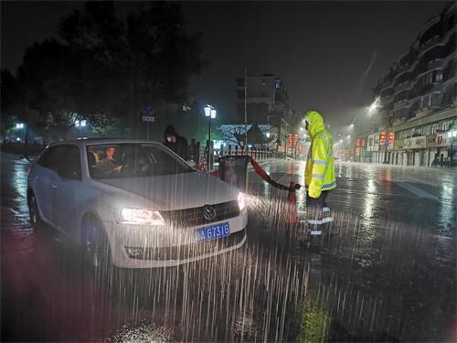 閃耀黨徽，逆行戰“疫”！一次特殊的主題黨日活動